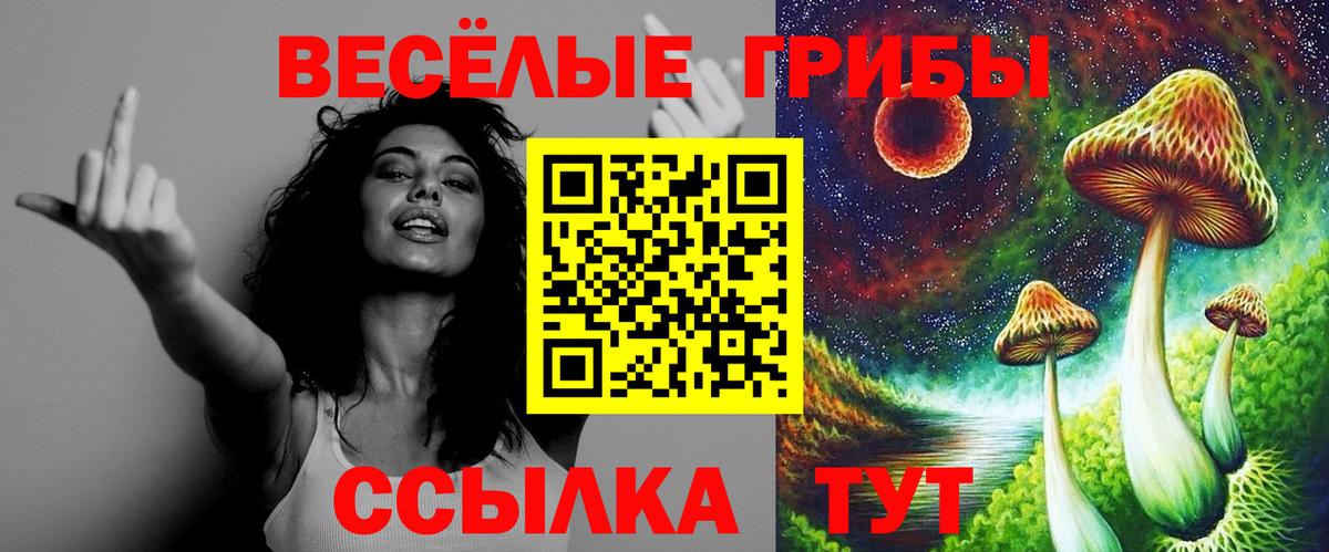 цена   Псилоцибиновые грибы Psilocybe  Вход с VPN  Галлюциногенные грибы прущие грибы  Мариинск 
